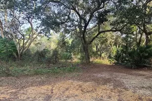 17205 SE 252nd Ave, Umatilla, FL 32784 - Photo 1
