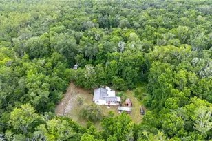 14702 Cr 719, Webster, FL 33597 - Photo 26