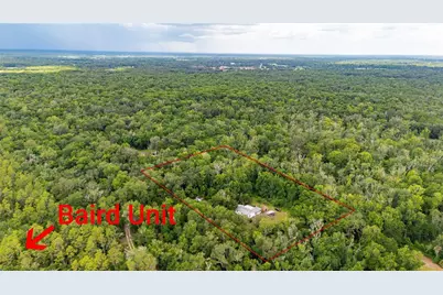 14702 Cr 719, Webster, FL 33597 - Photo 4