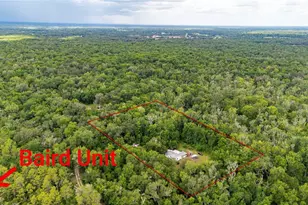 14702 Cr 719, Webster, FL 33597 - Photo 20