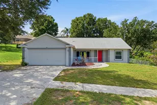 993 Scenic View Cir, Minneola, FL 34715 - Photo 1