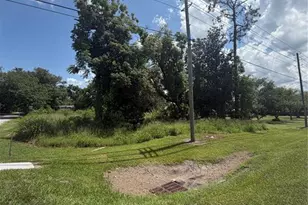 14435 Oak St, Groveland, FL 34736 - Photo 1