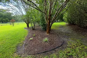 6008 SW 103rd Loop, Ocala, FL 34476 - Photo 30