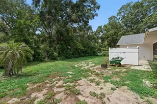 4160 Wood Dr, Mount Dora, FL 32757 - Photo 34