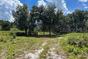 Laurel Oak Ave, Mims, FL 32754 - Photo 1