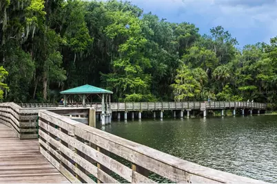 1210 N Donnelly Street, Mount Dora, FL 32757 - Photo 28