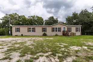 24821 Old Deer Rd, Paisley, FL 32767 - Photo 2