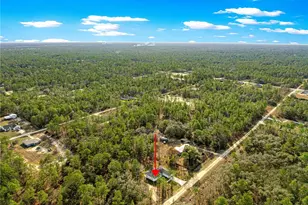 8311 SW 136th Terrace, Dunnellon, FL 34432 - Photo 54