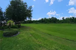 13349 Harbor Shore Ln, Winter Garden, FL 34787 - Photo 24