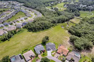3851 Manor Oaks Ct, Leesburg, FL 34748 - Photo 46