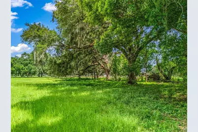 0000 Cr 738 Unassigned, Webster, FL 33597 - Photo 4