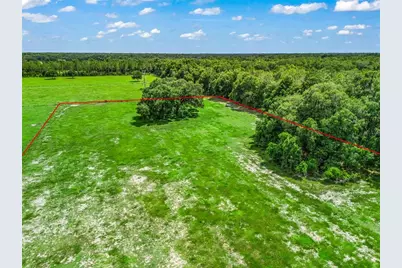 0000 Cr 738 Unassigned, Webster, FL 33597 - Photo 14