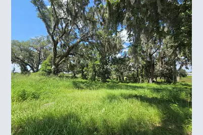466 Long and Winding Road, Howey in the Hills, FL 34737 - Photo 12
