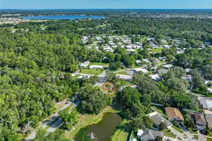 1925 Brookside Dr, Mount Dora, FL 32757 - Photo 64
