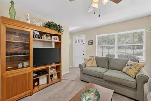 445 S Grandview St, Mount Dora, FL 32757 - Photo 10