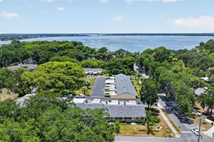 445 S Grandview St, Mount Dora, FL 32757 - Photo 6