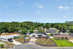 660 Oleander St, Mount Dora, FL 32757 - Photo 36