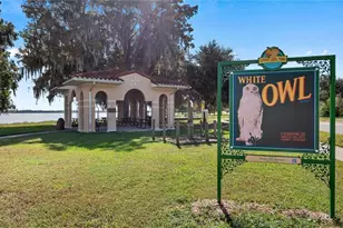 127 E Laurel Ave, Howey in the Hills, FL 34737 - Photo 46