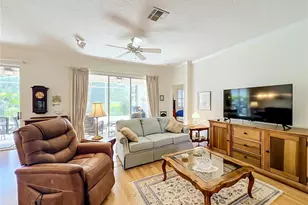 8031 Arcadian Ct, Mount Dora, FL 32757 - Photo 6