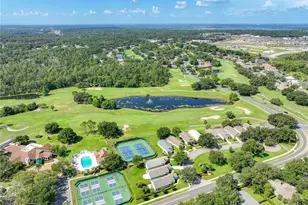 8031 Arcadian Ct, Mount Dora, FL 32757 - Photo 40