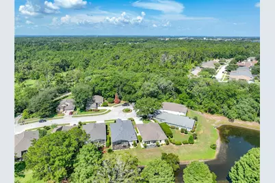 8031 Arcadian Court, Mount Dora, FL 32757 - Photo 38