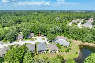 8031 Arcadian Ct, Mount Dora, FL 32757 - Photo 38