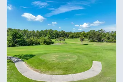 8031 Arcadian Court, Mount Dora, FL 32757 - Photo 54