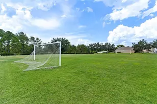 547 Seaside Cove St, Winter Garden, FL 34787 - Photo 68