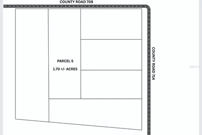 Parcel 5 Cr 708, Center Hill, FL 33514 - Photo 1