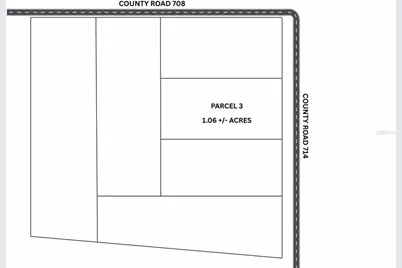Parcel 3 Cr 714, Center Hill, FL 33514 - Photo 1