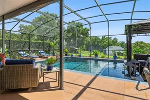 7648 Lake Angelina Dr, Mount Dora, FL 32757 - Photo 42