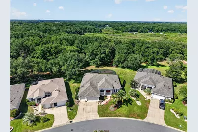 20606 Queen Alexandra Drive, Leesburg, FL 34748 - Photo 4