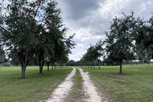 12601 Double Run Rd, Astatula, FL 34705 - Photo 4