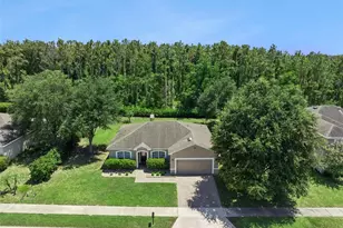 5546 Windsong Oak Dr, Leesburg, FL 34748 - Photo 34