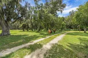 10757 Co Rd 223, Oxford, FL 34484 - Photo 6