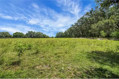 10757 County Road 223, Oxford, FL 34484 - Photo 66