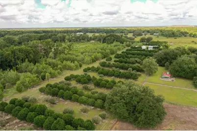 1238 S US 301, Sumterville, FL 33585 - Photo 32