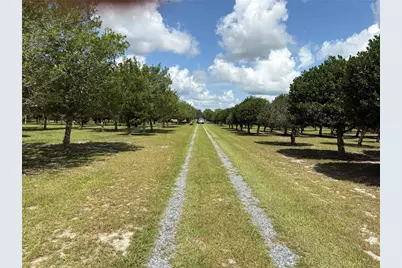 1238 S US 301, Sumterville, FL 33585 - Photo 12
