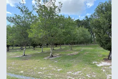 1238 S US 301, Sumterville, FL 33585 - Photo 6