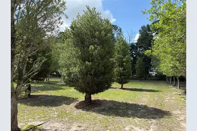 1238 S US 301, Sumterville, FL 33585 - Photo 10