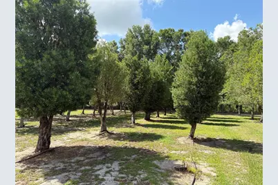 1238 S US 301, Sumterville, FL 33585 - Photo 8