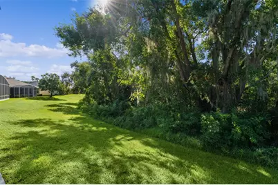 4358 Antietam Creek Trail, Leesburg, FL 34748 - Photo 8