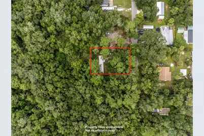 3080 Cr 417, Lake Panasoffkee, FL 33538 - Photo 6