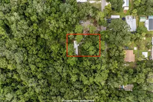 3080 Cr 417, Lake Panasoffkee, FL 33538 - Photo 6