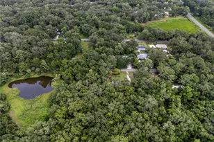3080 Cr 417, Lake Panasoffkee, FL 33538 - Photo 6