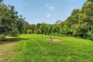 22740 County Rd 44A, Eustis, FL 32736 - Photo 40