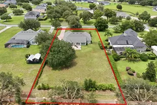 4526 Claire Rose Ct, Mount Dora, FL 32757 - Photo 78