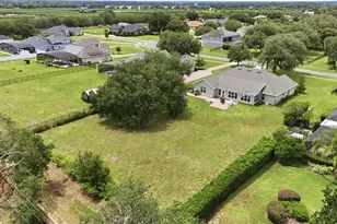 4526 Claire Rose Ct, Mount Dora, FL 32757 - Photo 74