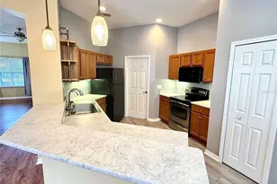 3447 Mt Hope Loop, Leesburg, FL 34748 - Photo 12