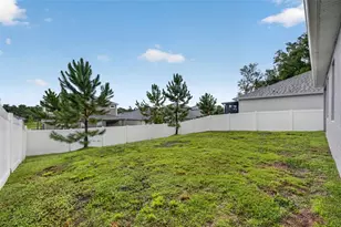 2340 Sirena Ln, Mount Dora, FL 32757 - Photo 42